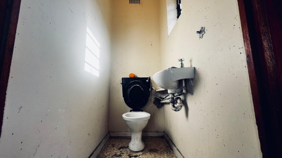 To Let 3 Bedroom Property for Rent in Pinelands Western Cape